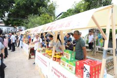 庆农业丰收 享夸姣糊口│2025年梧州市庆贺“中国